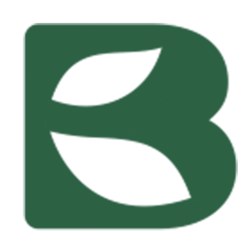 Favicom Basika